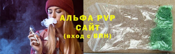 индика Белокуриха
